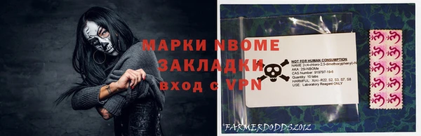хмурый Алзамай