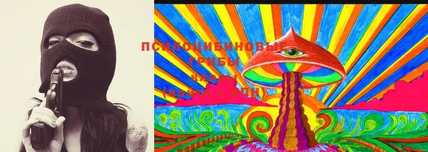хмурый Алзамай